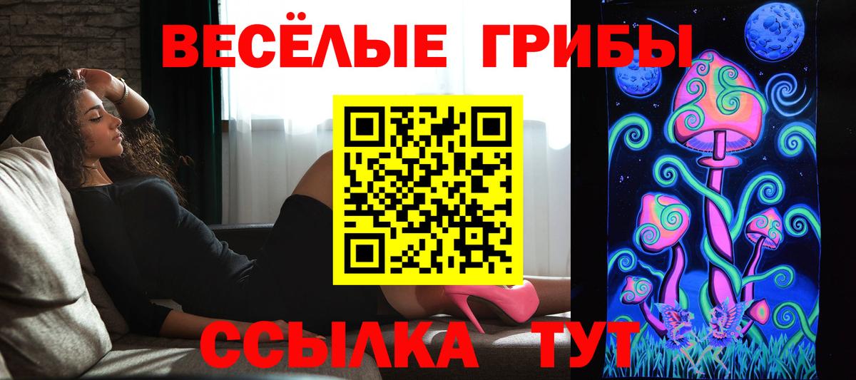 Псилоцибиновые грибы Psilocybine cubensis Будённовск